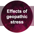 What Are The Effects Of Geopathic Stress